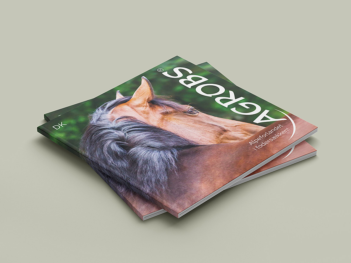 Foreign language typesetting